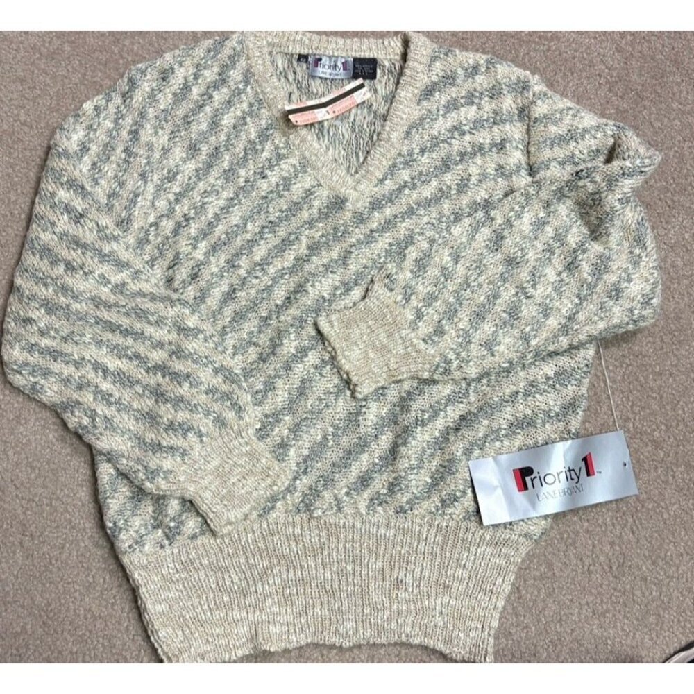 Vtg 80s Priority One Lane Bryant V Neck Sweater Plus Size 42 (22w) NWT Rare